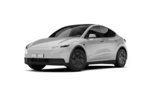 TESLA MODEL Y 2020-